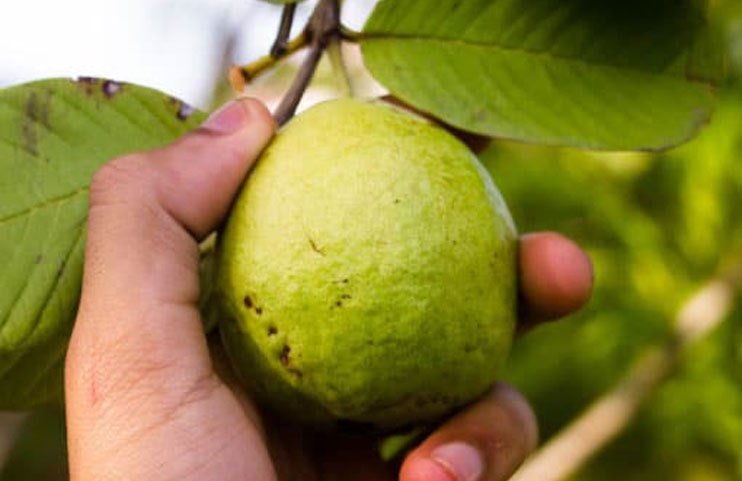 VNest-Infra-Developers-pvt-ltd-gallery2