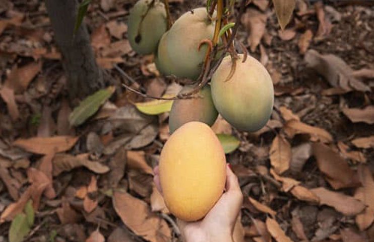 VNest-Infra-Developers-pvt-ltd-gallery3