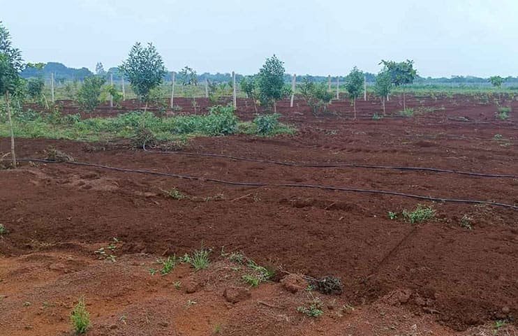 VNest-Infra-Developers-pvt-ltd-gallery6